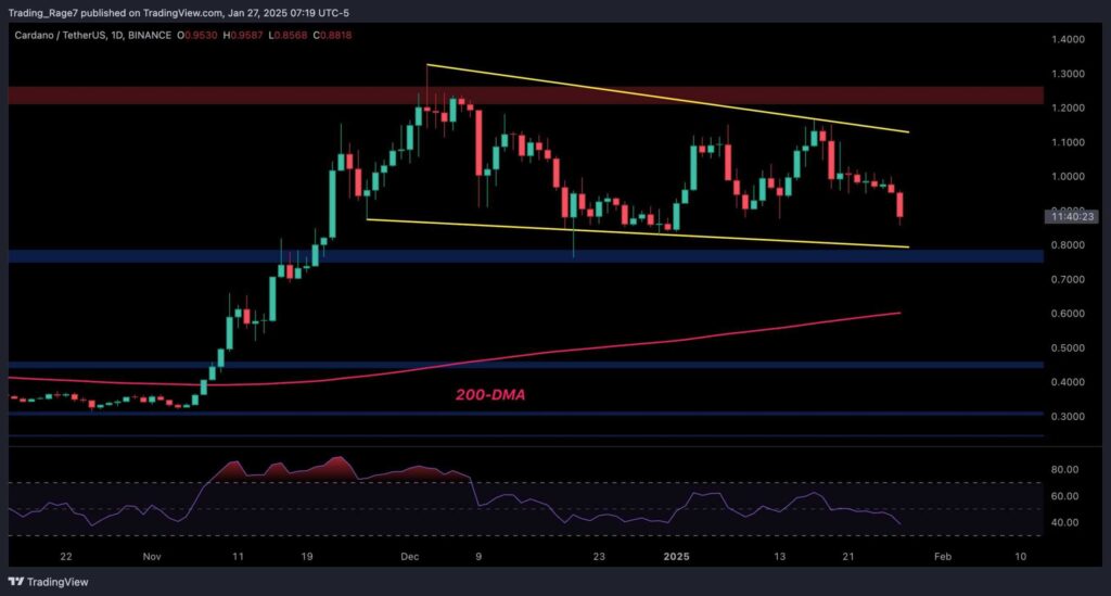 ADA’s Path Forward After 8% Daily Correction