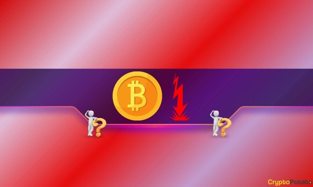 Bitcoin Miners and Ethereum Whales Dick Out em meio a comícios de preços